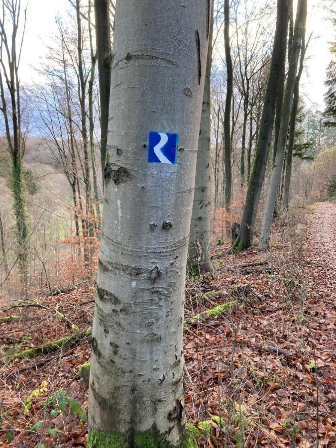 Wohnung Rhein-Wald-Und Weitsicht Rengsdorf Bagian luar foto